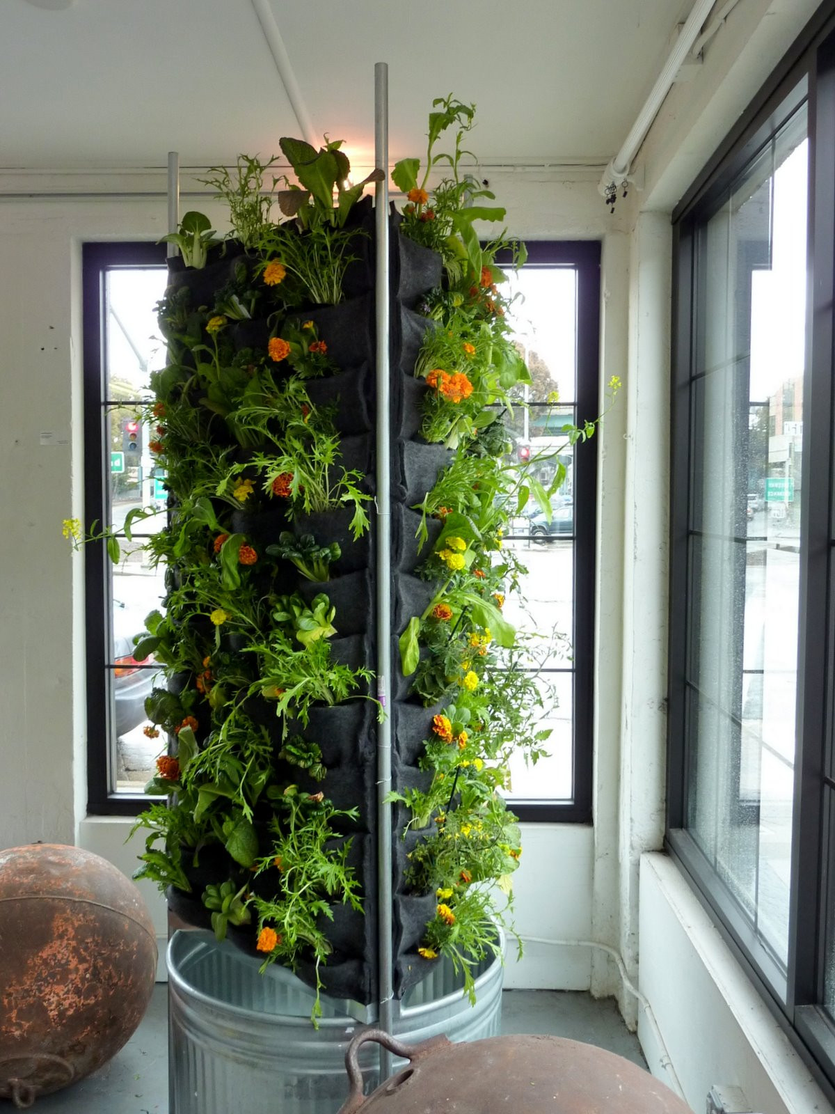 Best ideas about Indoor Vertical Garden
. Save or Pin Aquaponics Vertical Garden Now.