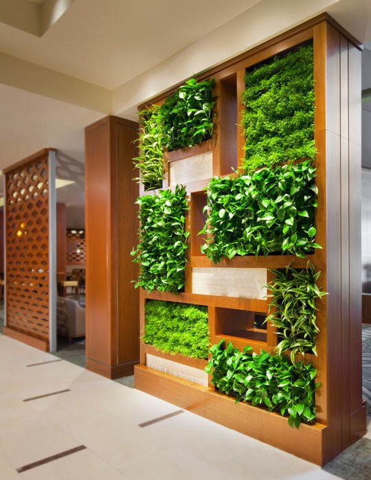 Best ideas about Indoor Vertical Garden
. Save or Pin Gardens Inside Up and Down Now.