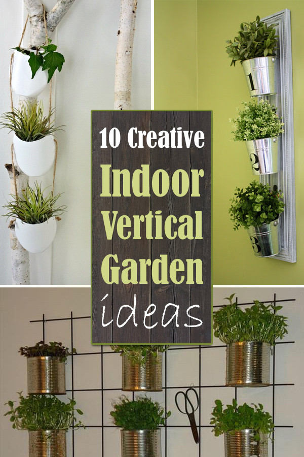 Best ideas about Indoor Vertical Garden
. Save or Pin 10 Creative Indoor Vertical Garden ideas Now.