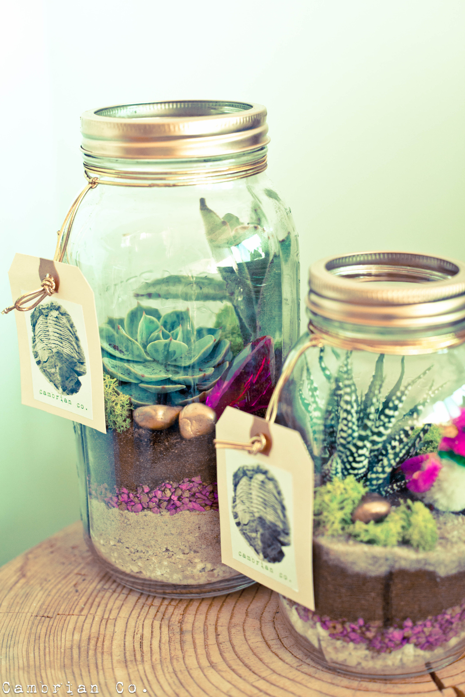 Best ideas about Jars Gift Ideas
. Save or Pin Mason Jar Christmas Gift Ideas The Idea Room Now.