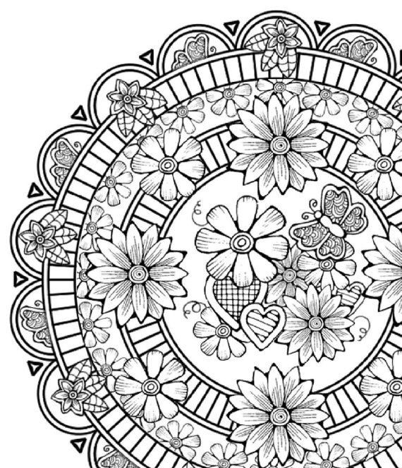 The Best Kailyn Lowry's Hustle and Heart Adult Coloring Book Best