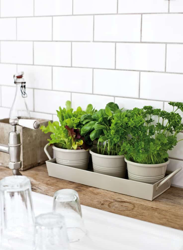 Best ideas about Kitchen Herb Planter
. Save or Pin 25 Awesome Indoor Garden Planting Projects To Start In The Now.