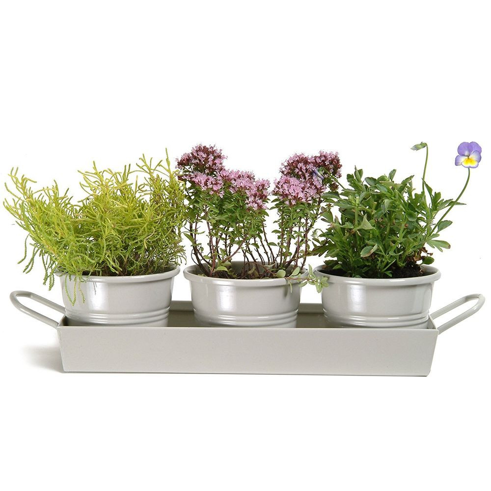 Best ideas about Kitchen Herb Planter
. Save or Pin Kitchen Herb Pots Wooden Planter Window Sill Garden Plant Now.