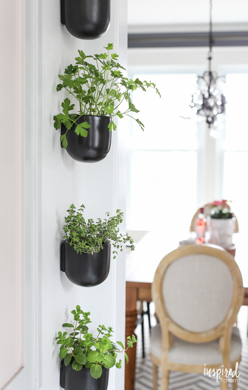 Best ideas about Kitchen Herb Planter
. Save or Pin How to Create a Modern Kitchen Herb Garden Now.