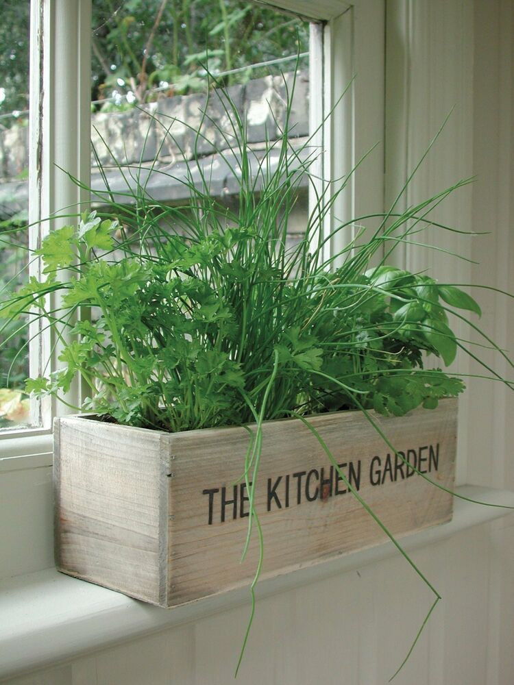 Best ideas about Kitchen Herb Planter
. Save or Pin Unwins Herb Kitchen Garden Kit Grow your own Wooden Pots Now.