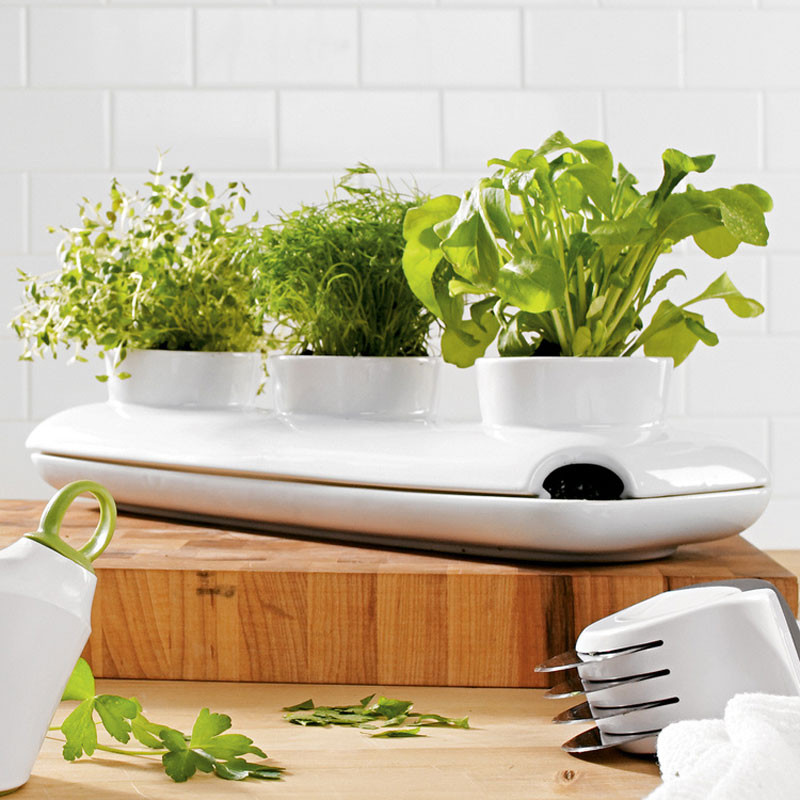 Best ideas about Kitchen Herb Planter
. Save or Pin Sagaform Stoneware Triple Herb Pot The Green Head Now.