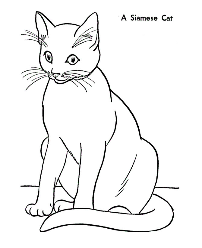 Best ideas about Kitty Cat Printable Coloring Pages
. Save or Pin Free Printable Cat Coloring Pages For Kids Now.