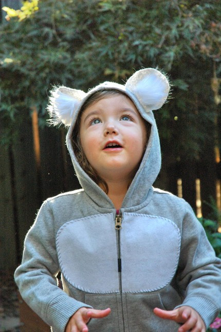 Best ideas about Koala Costume DIY
. Save or Pin Costume Kits for DIY ish Parents Rookie Moms Now.