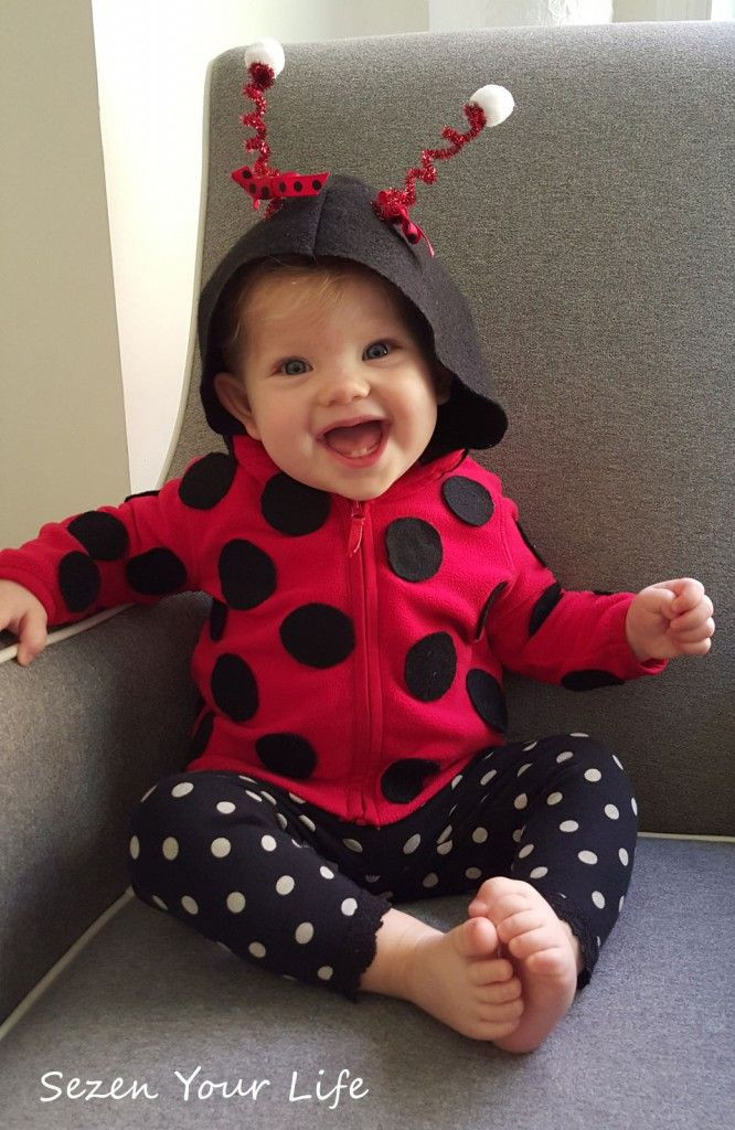 Best ideas about Lady Bug Costume DIY
. Save or Pin Best 25 Ladybug costume ideas on Pinterest Now.