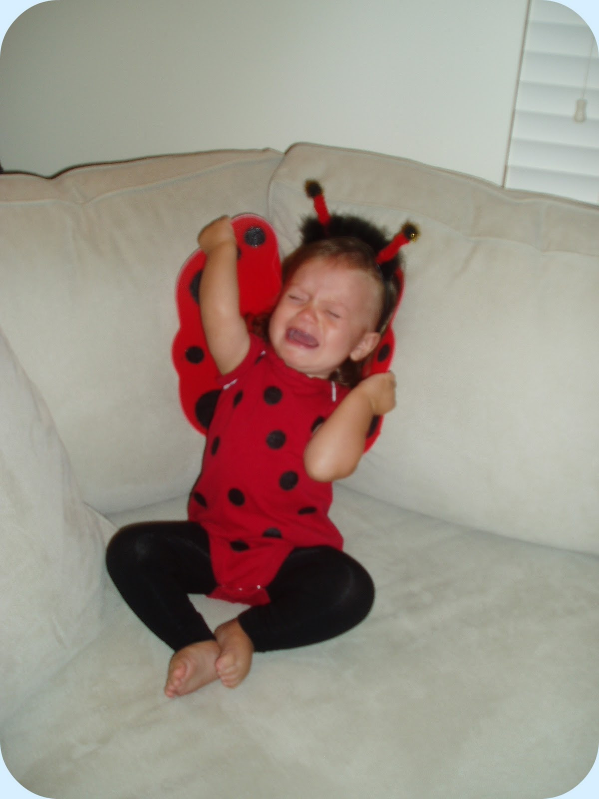 Best ideas about Lady Bug Costume DIY
. Save or Pin Spartan Living Homemade Toddler Costume Fit for a Now.