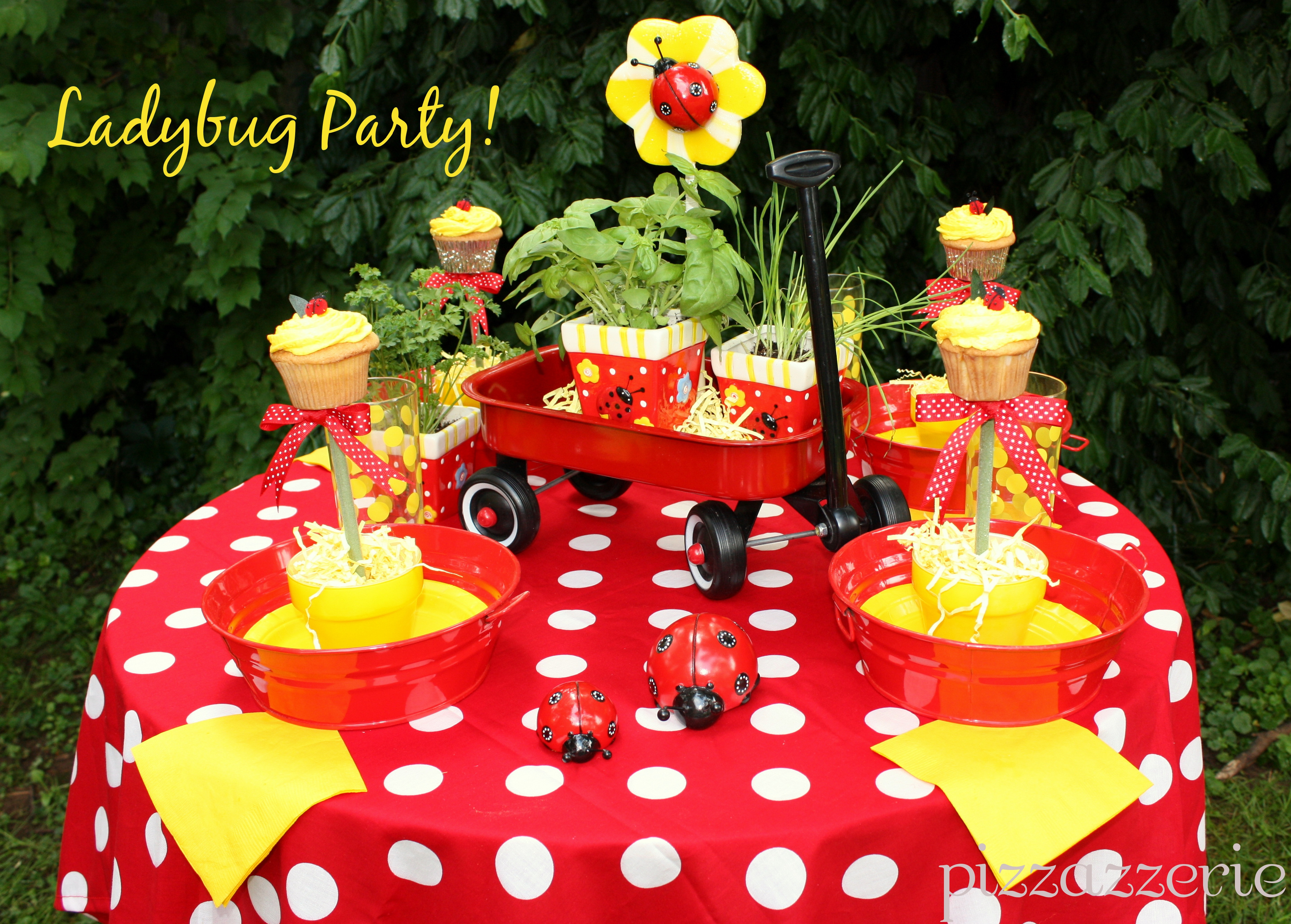 Best ideas about Ladybug Birthday Party
. Save or Pin Ladybug Garden Party Now.