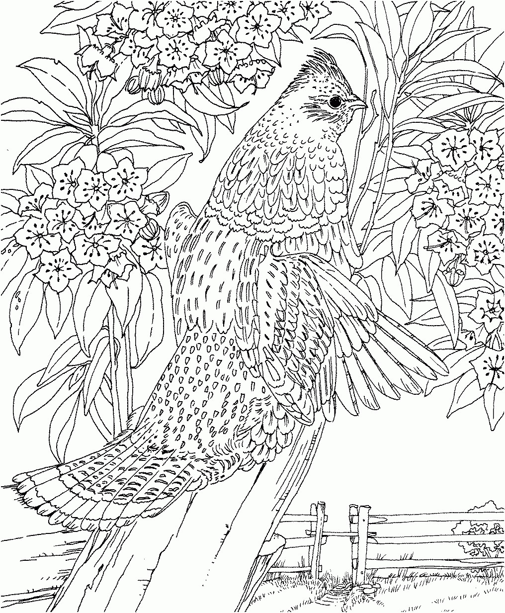 Best ideas about Landscape Coloring Pages For Adults
. Save or Pin Adult Coloring Pages Landscapes Coloring Home Now.