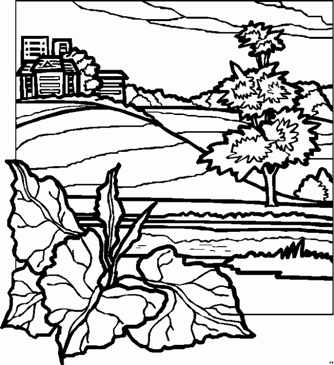 Best ideas about Landscape Coloring Pages For Adults
. Save or Pin Landscape Coloring Pages For Adults Coloring Home Now.