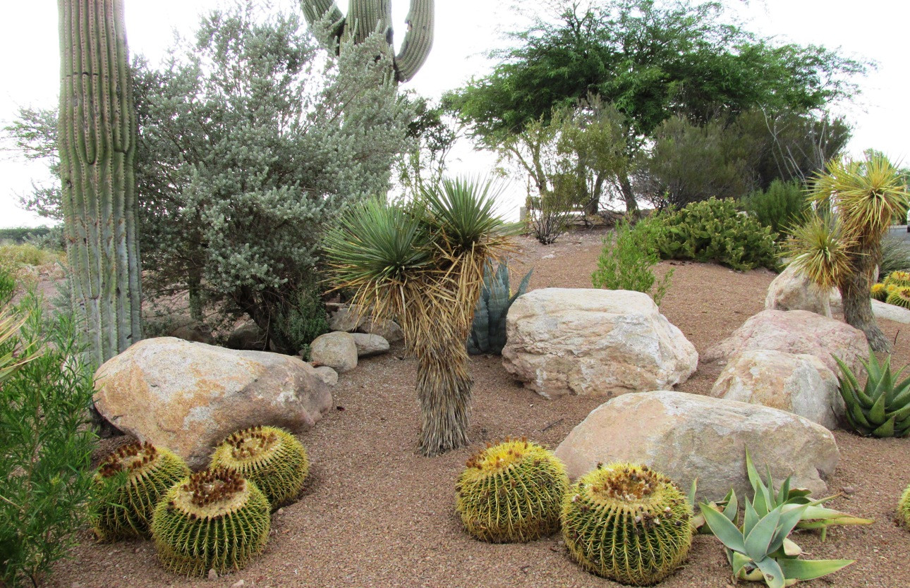 Best ideas about Landscape With Rocks
. Save or Pin Landscape rock – Arizona Desert Xeriscape Now.