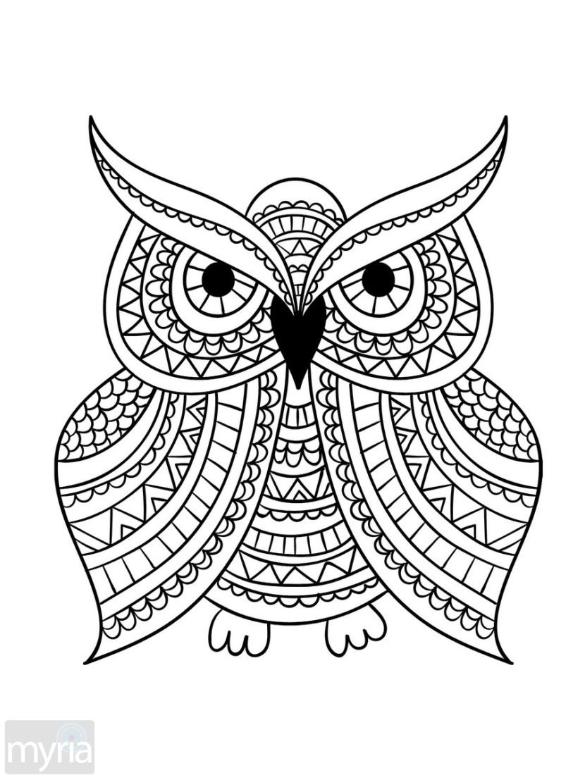 Best ideas about Large Adult Coloring Books
. Save or Pin Print Coloring Pages For Adults at GetColorings Now.