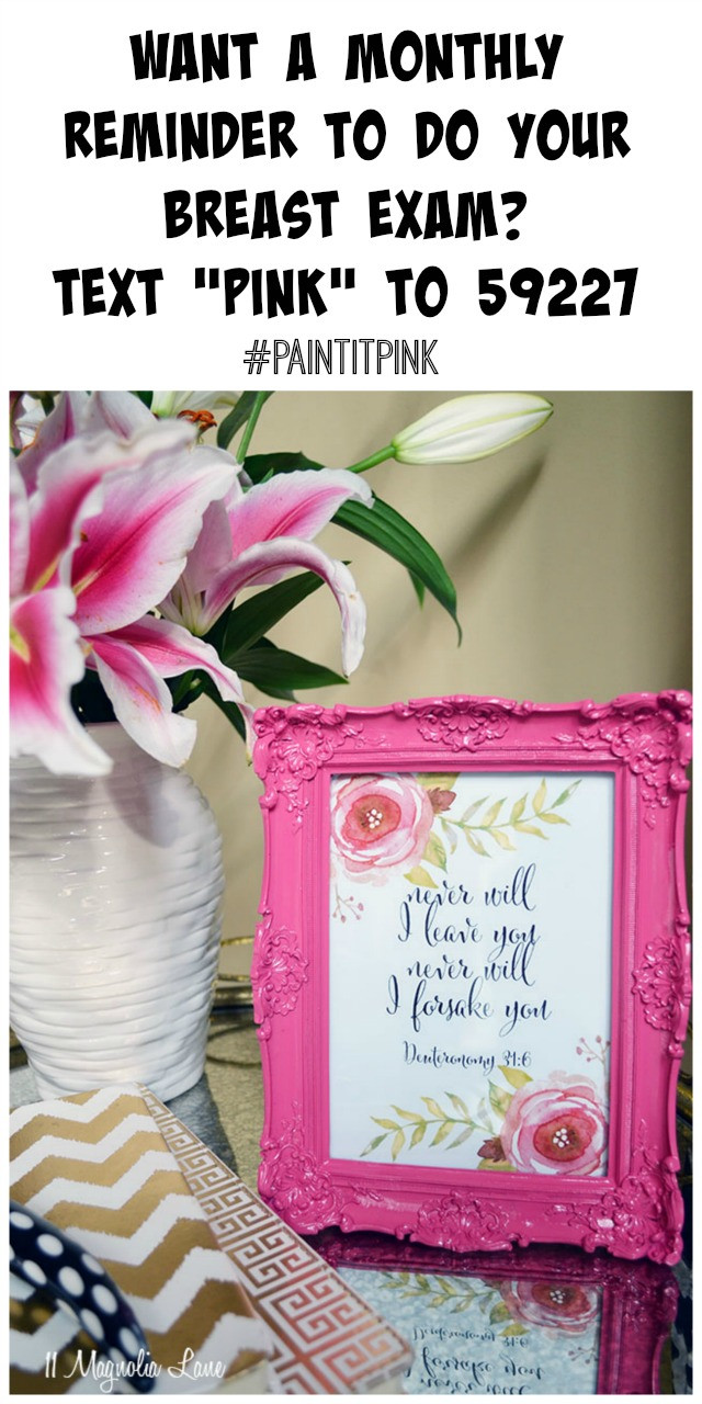 Best ideas about Last Chemo Treatment Gift Ideas
. Save or Pin Cancer & Chemo Gift Idea PaintItPink Now.