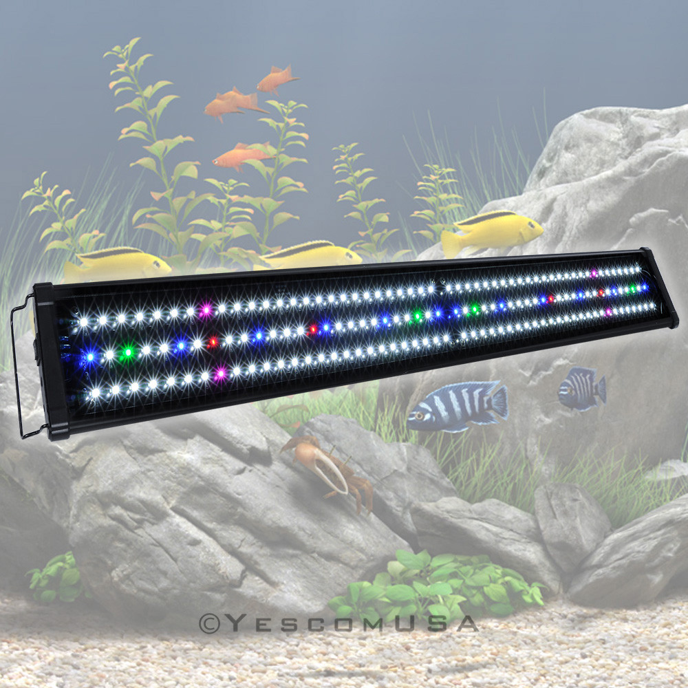 Best ideas about Led Aquarium Light
. Save or Pin 0 5W 24" 36" 48" Multi Color LED Aquarium Light Full Spec Now.