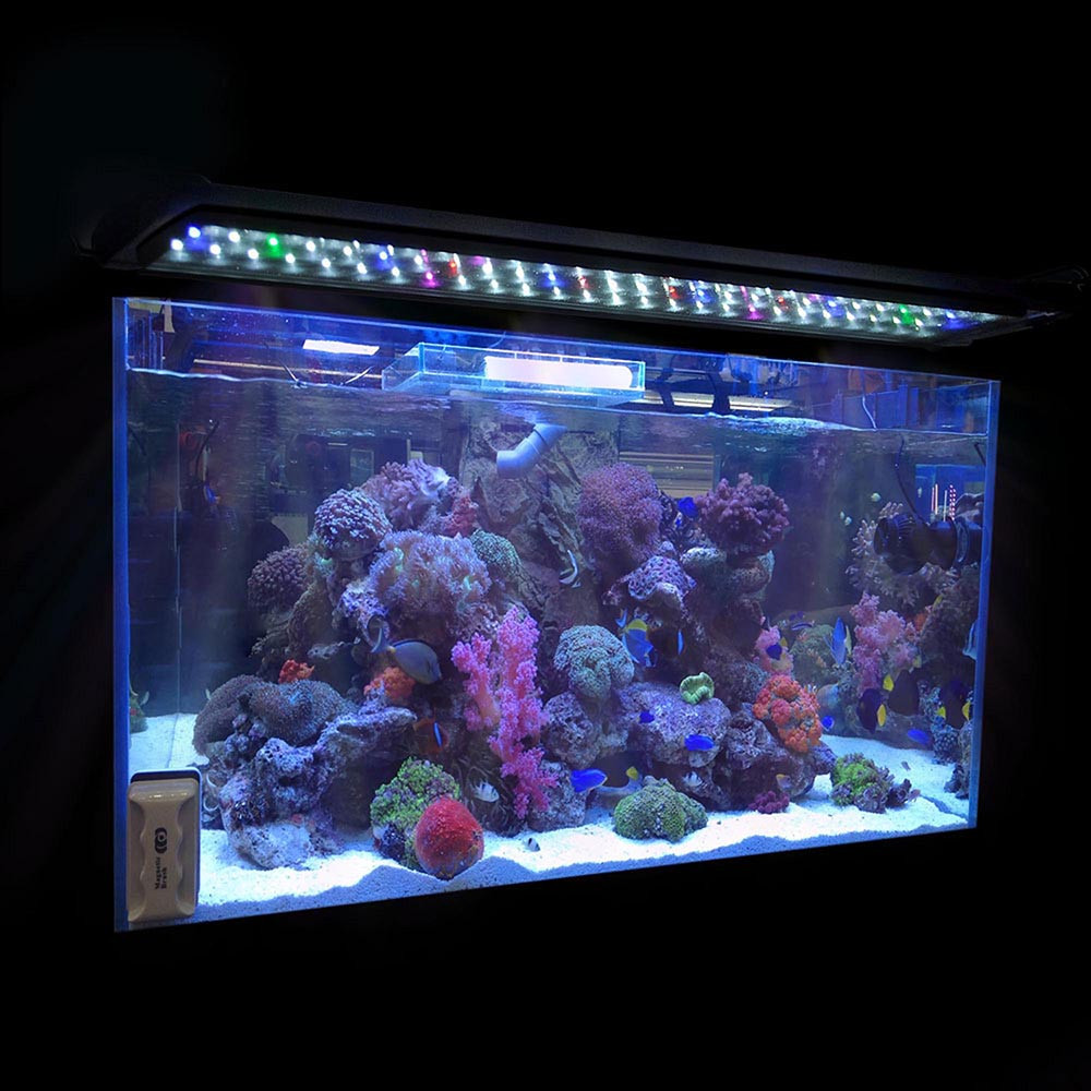 Best ideas about Led Aquarium Light
. Save or Pin 24" 36" 48" Multi Color LED Aquarium Light 0 5W Full Spec Now.