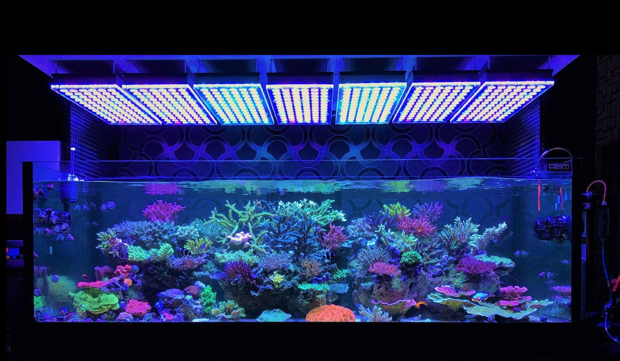 Best ideas about Led Aquarium Light
. Save or Pin Atlantik V4 Reef Aquarium LED lighting • Orphek Aquarium Now.