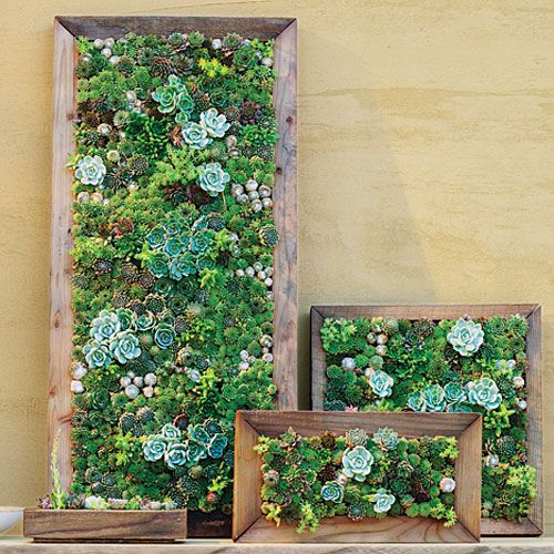 Best ideas about Living Wall DIY
. Save or Pin 25 best ideas about Succulent wall on Pinterest Now.