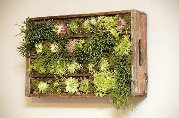 Best ideas about Living Walls DIY
. Save or Pin Cool DIY Green Living Wall Projects For Your Home Now.