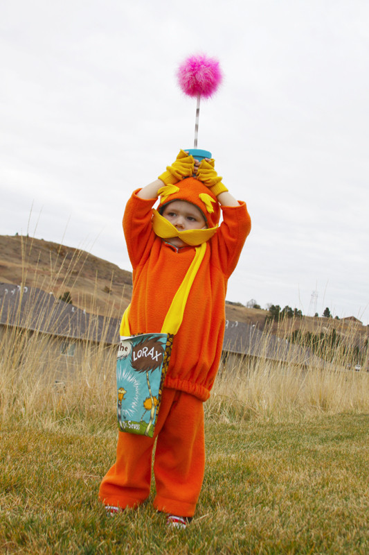 Best ideas about Lorax Costume DIY
. Save or Pin Dr Seuss Costumes for Men Women kids Now.