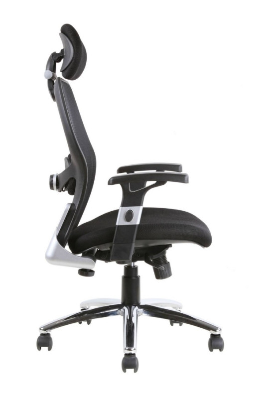 Best ideas about Lumbar Support For Office Chair
. Save or Pin Sanderson Luxury mesh back office chair inc Lumbar support Now.