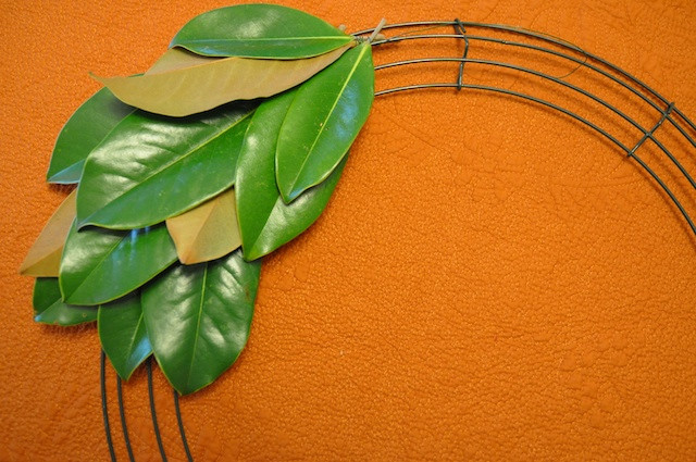 Best ideas about Magnolia Wreaths DIY
. Save or Pin DIY Magnolia Leaf Wreath Now.