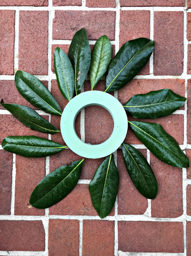 Best ideas about Magnolia Wreaths DIY
. Save or Pin DIY Magnolia Wreath Tutorial Metallic Magnolia Leaf Wreath Now.
