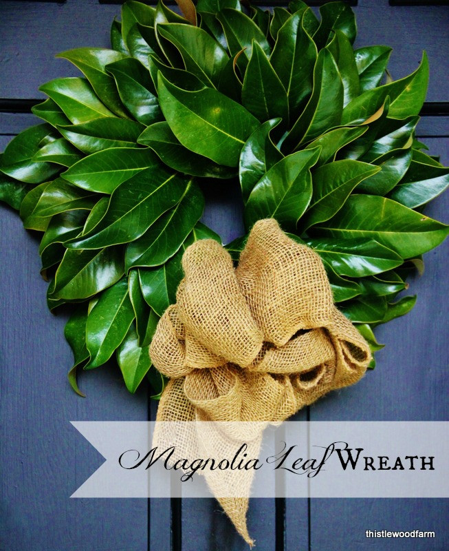 Best ideas about Magnolia Wreaths DIY
. Save or Pin DIY Magnolia Leaf Wreath Thistlewood Farm Now.