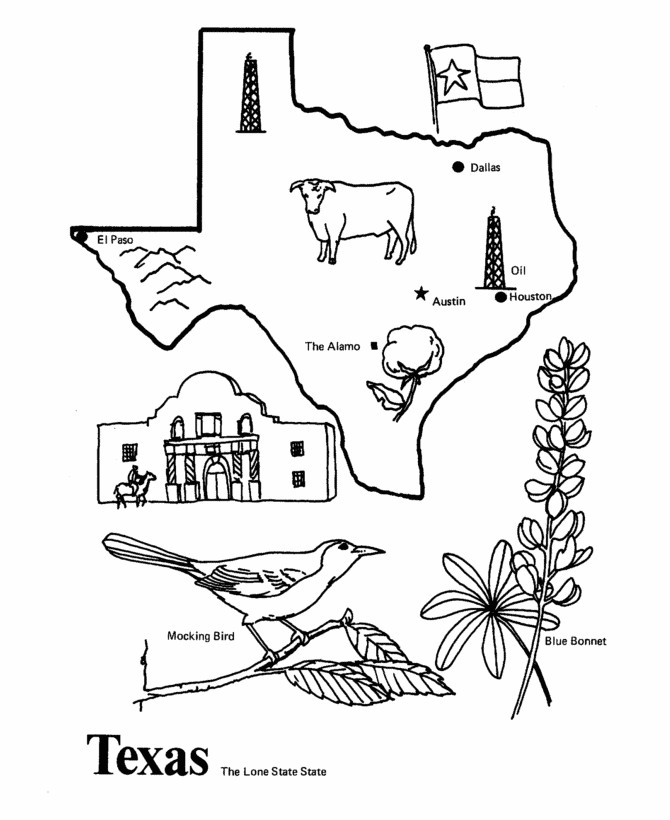 Best ideas about Map Of Wisconsin Preschool Coloring Sheets
. Save or Pin Texas State outline Coloring Page Now.