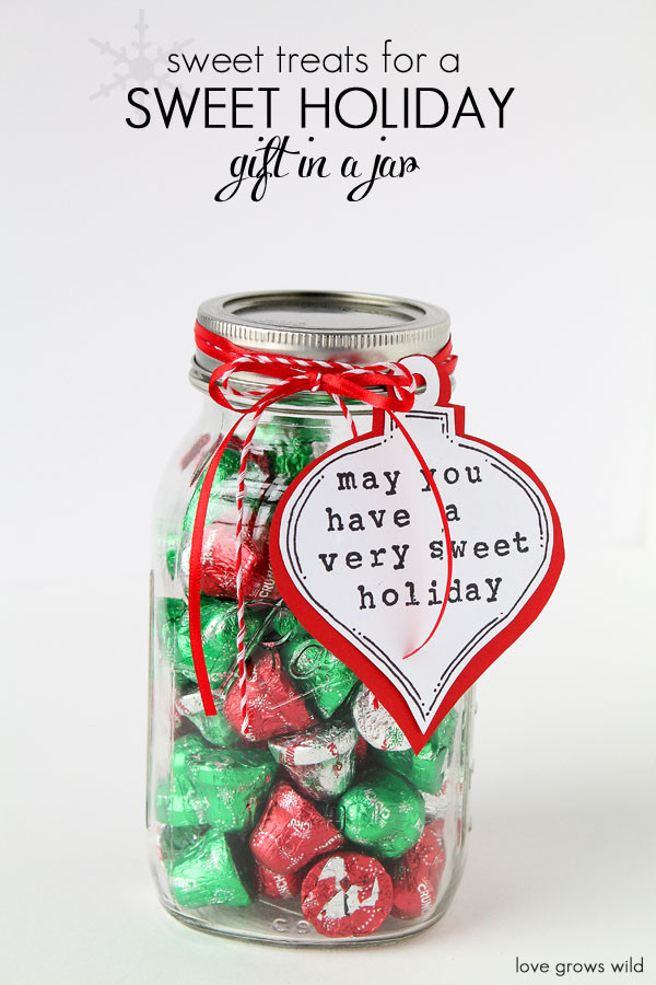 Best ideas about Mason Jar Gift Ideas For Christmas
. Save or Pin 5 Fun Mason Jar Gift Ideas Love Grows Wild Now.