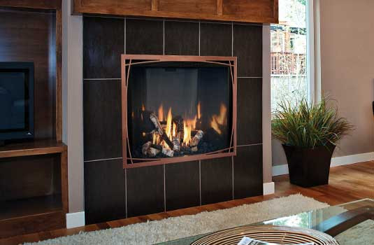 Best ideas about Mendota Gas Fireplace
. Save or Pin Gas Fireplaces Now.