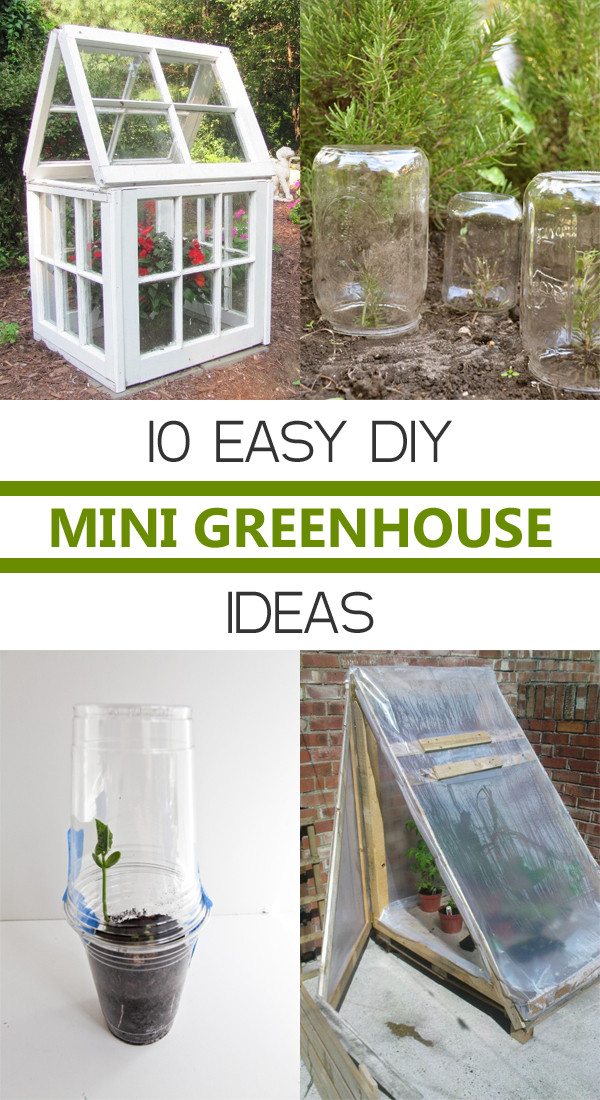 Best ideas about Mini Greenhouse DIY
. Save or Pin 10 Easy DIY Mini Greenhouse Ideas Now.