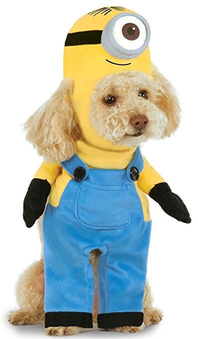 Best ideas about Minion Dog Costume DIY
. Save or Pin The 10 Best Dog Costumes for Halloween 2017 Now.