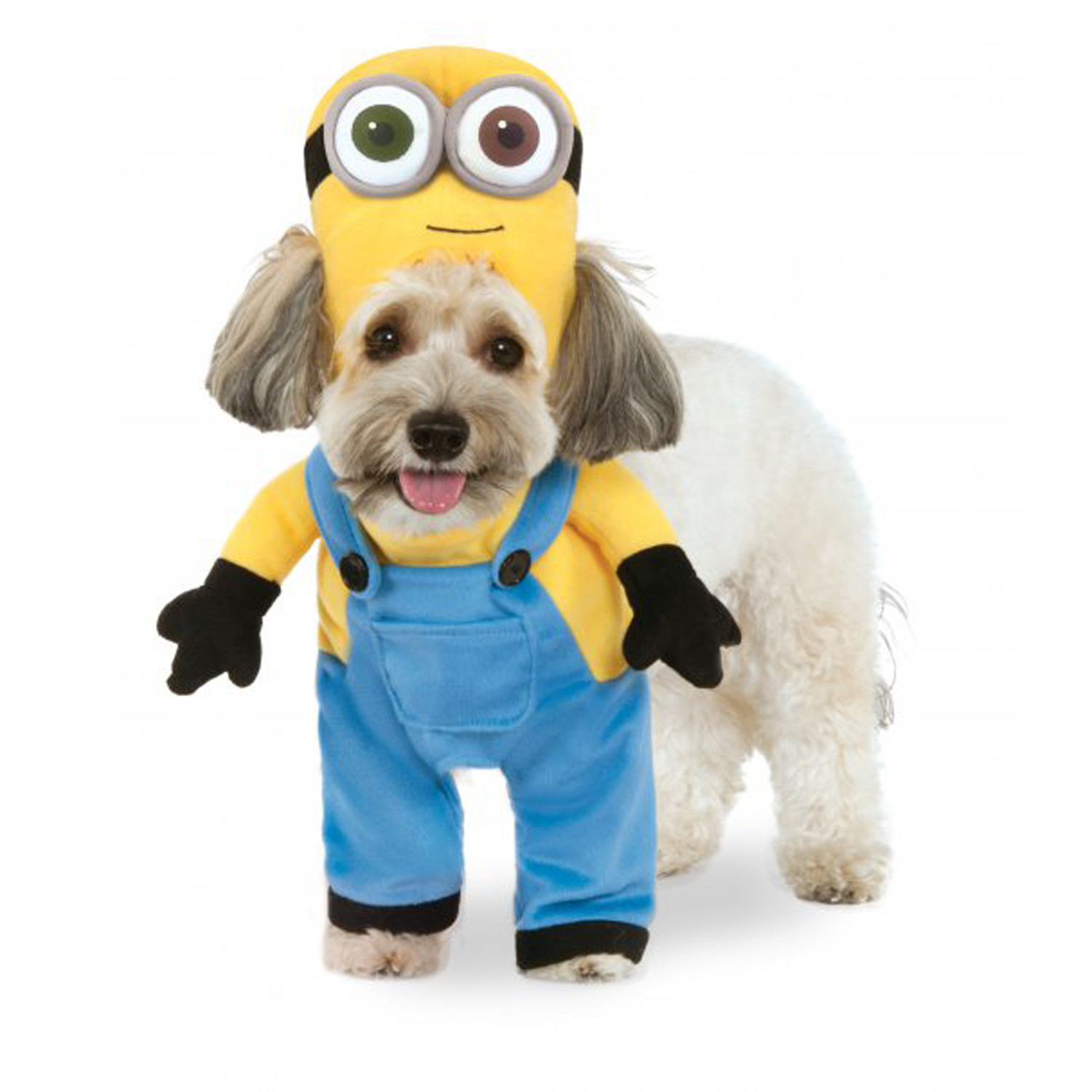Best ideas about Minion Dog Costume DIY
. Save or Pin Walking Minion Dog Costume Bob Now.