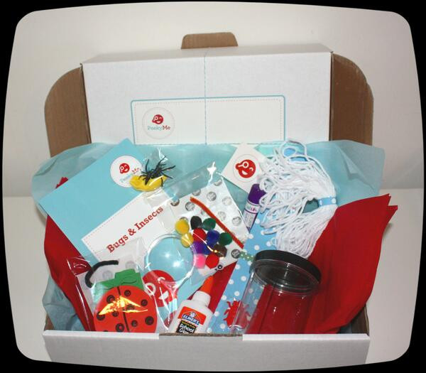 Best ideas about Monthly Craft Kits For Adults
. Save or Pin 3 Month Gift Peekyme Craft Box With Wrapping and Message Now.