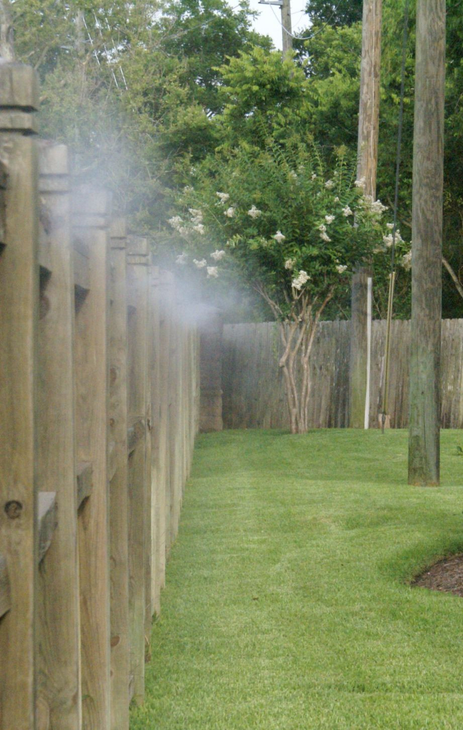 Best ideas about Mosquito Misting System DIY
. Save or Pin Pynamite Mosquito Misting Systems Now.