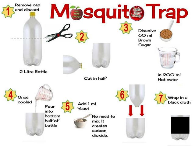 Best ideas about Mosquito Trap DIY
. Save or Pin Get Rid Mosquitos At Your Home With This Simple Now.