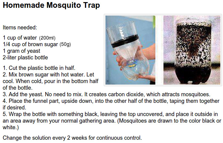 Best ideas about Mosquito Trap DIY
. Save or Pin Mosquito Trapping Now.