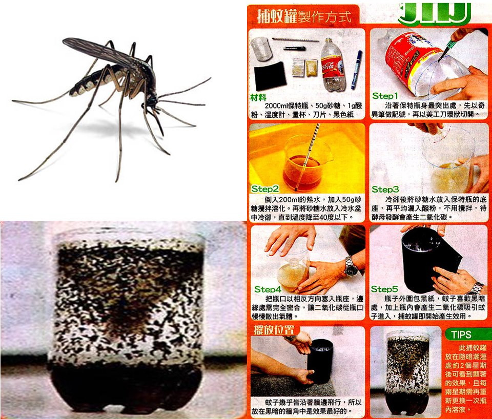 Best ideas about Mosquito Trap DIY
. Save or Pin The Cheapest Mosquito Trap Now.