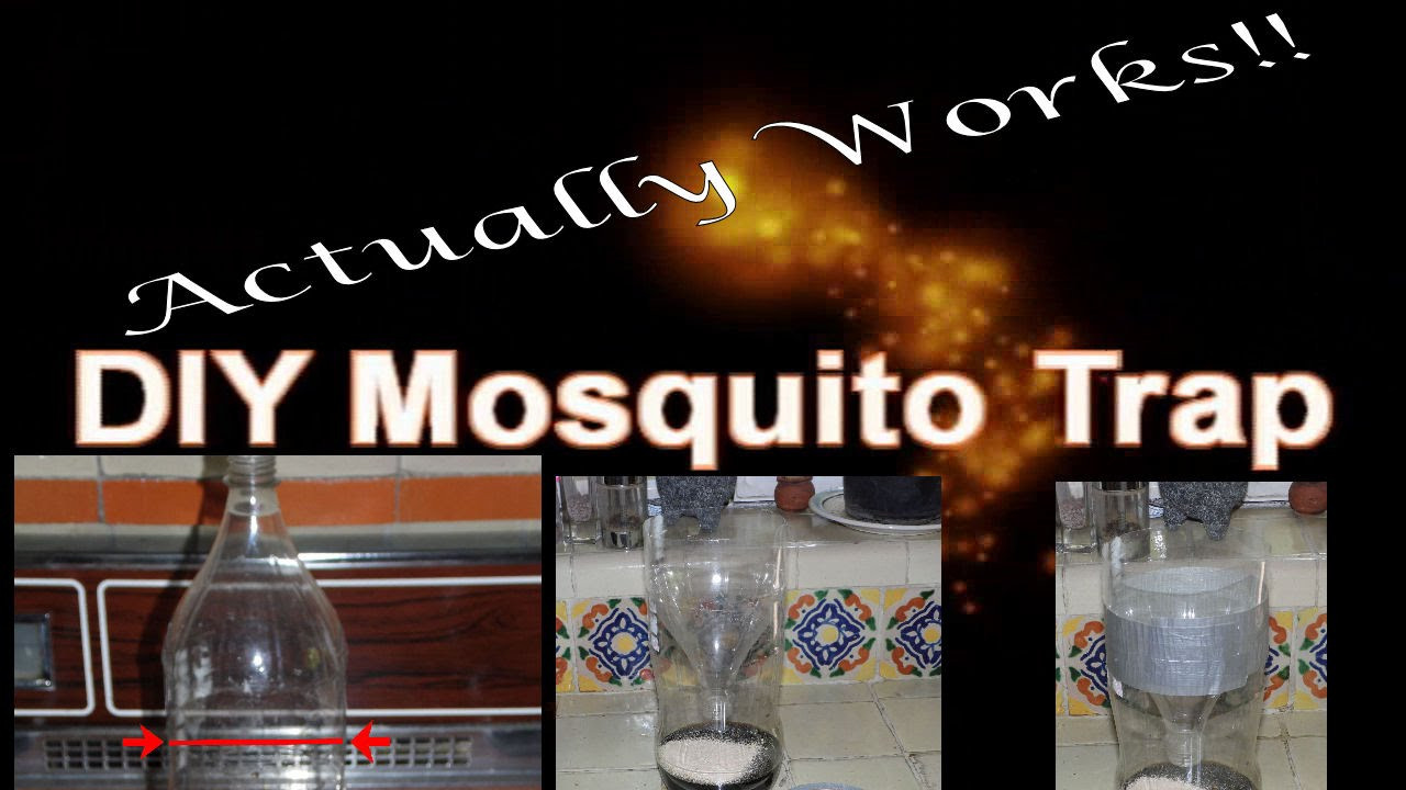 Best ideas about Mosquito Trap DIY
. Save or Pin DIY Mosquito Trap that WORKS Now.