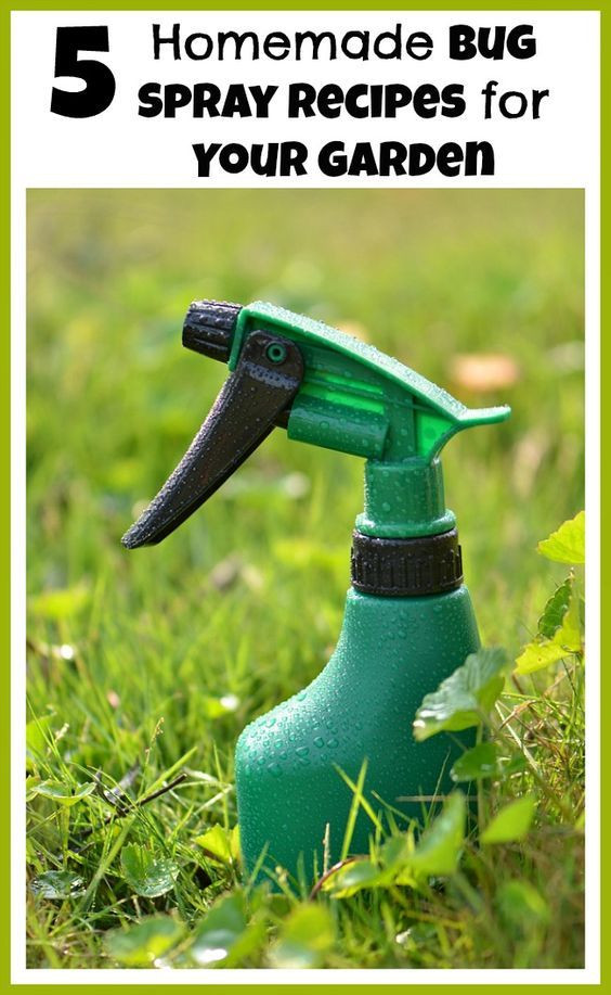 Best ideas about Mosquito Yard Spray DIY
. Save or Pin 5 Homemade Bug Spray Recipes for Your Garden Now.