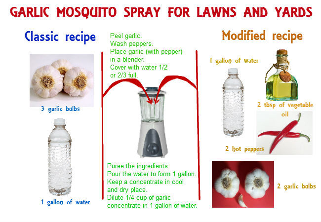 Best ideas about Mosquito Yard Spray DIY
. Save or Pin Homemade mosquito yard spray is cheap effective and easy Now.