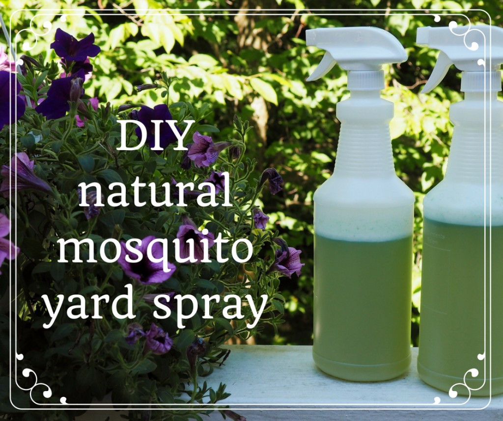 Best ideas about Mosquito Yard Spray DIY
. Save or Pin How to Make Homemade Organic Mosquito Yard Spray Now.