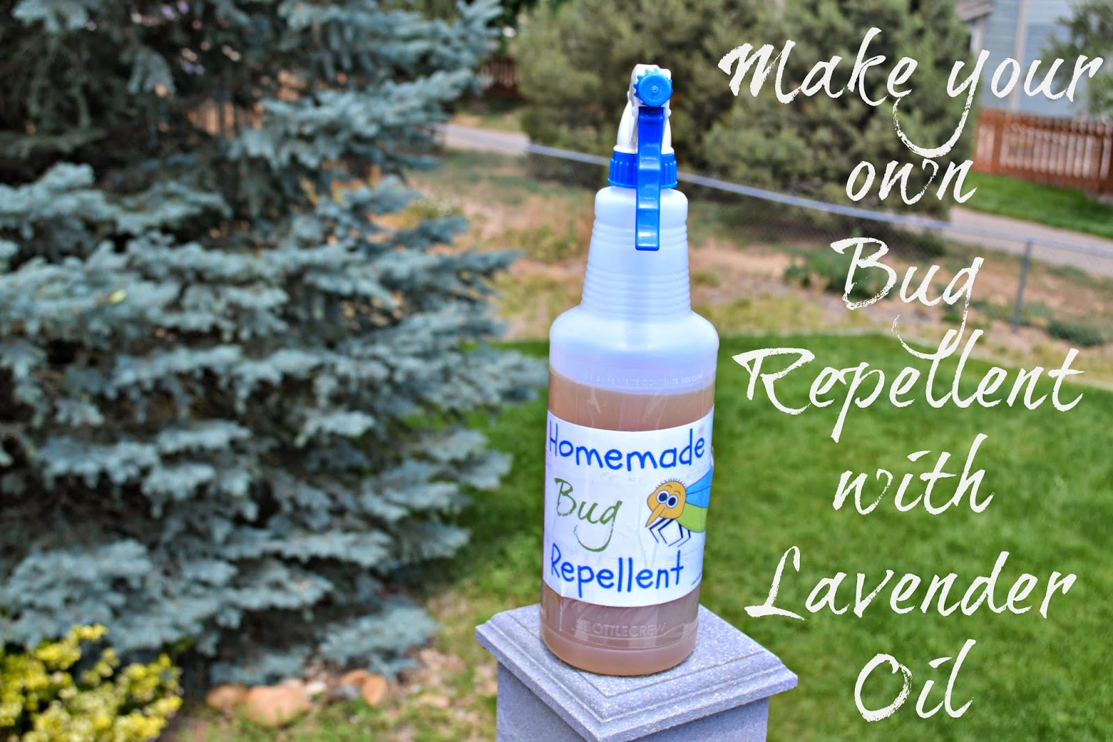 Best ideas about Mosquito Yard Spray DIY
. Save or Pin How to Make Homemade Bug Repellent DIY Now.
