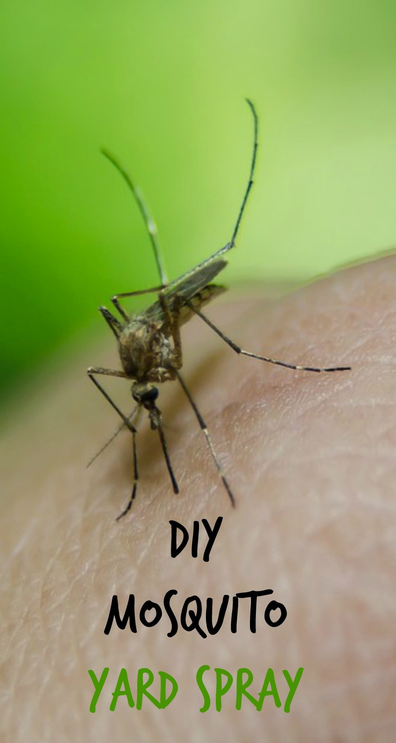 Best ideas about Mosquito Yard Spray DIY
. Save or Pin DIY Mosquito Yard Spray At Home With My Honey Now.