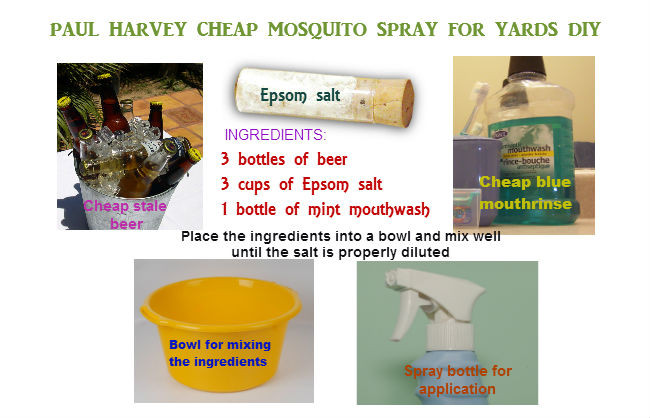 Best ideas about Mosquito Yard Spray DIY
. Save or Pin Homemade mosquito yard spray is cheap effective and easy Now.