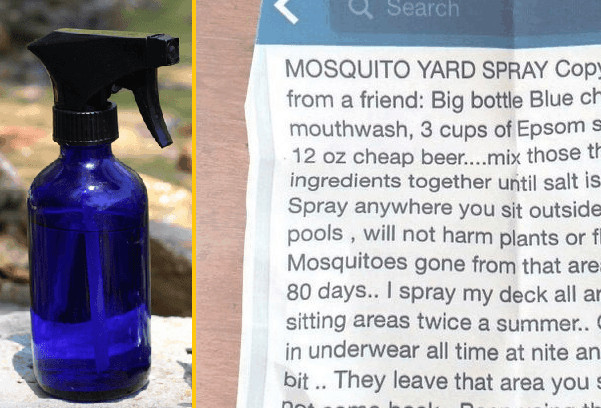 Best ideas about Mosquito Yard Spray DIY
. Save or Pin How To Make Your Own 3 Ingre nt Mosquito Yard Spray That Now.