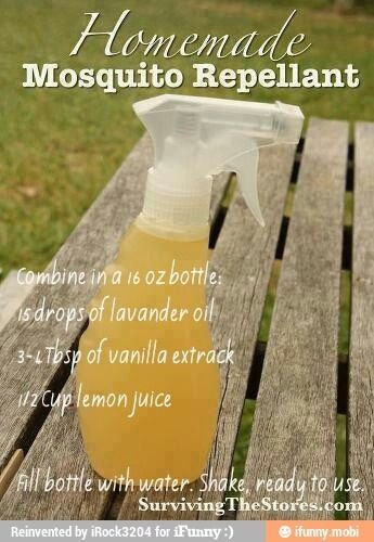 Best ideas about Mosquito Yard Spray DIY
. Save or Pin Homemade mosquito repellant backyard bliss Now.